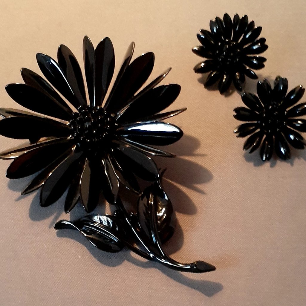 Black Flower Pin And Earrings